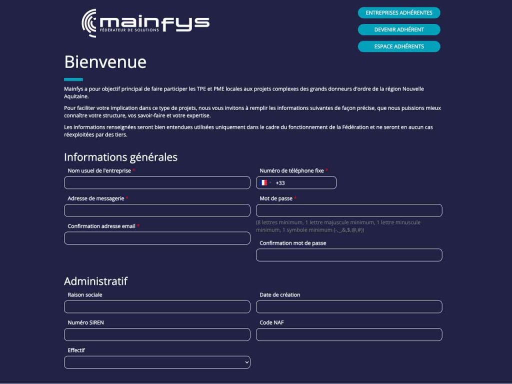 Screenshot mainfys.fr