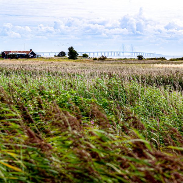 Campagne danoise