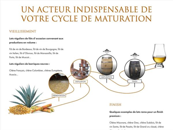 alteroak.com - Fresque sur le rôle d'Alteroak
