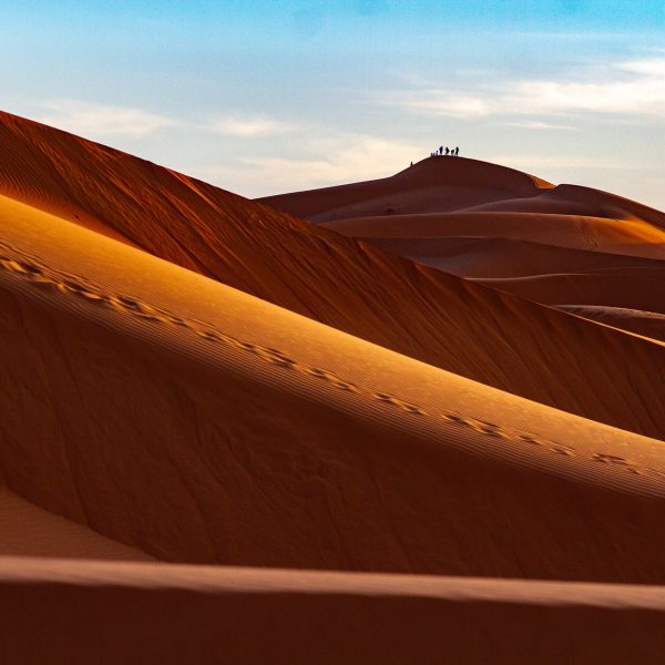 Sahara marocain