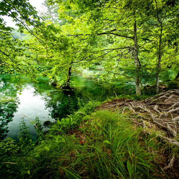 Coin de sérénité au bord de l'eau