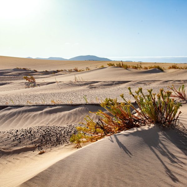 Lanzarote