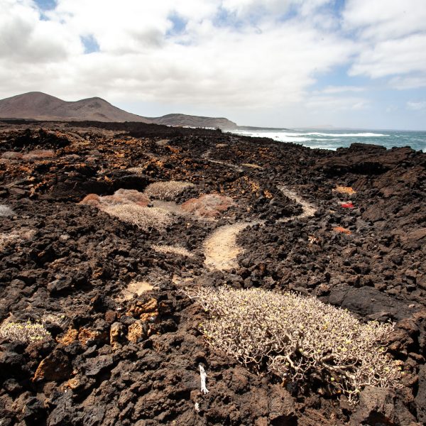 Lanzarote